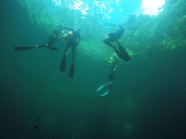 clases de apnea